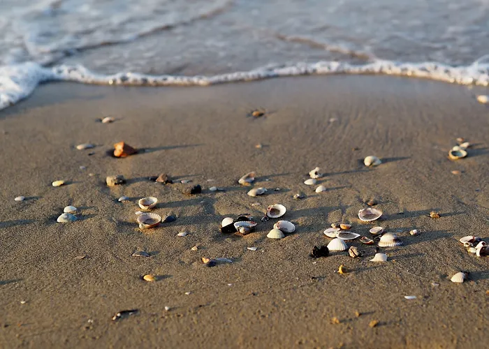 Lovely With Balcony - Beahost